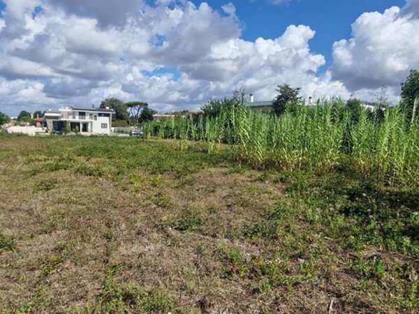 terreno agricolo in vendita a Nettuno