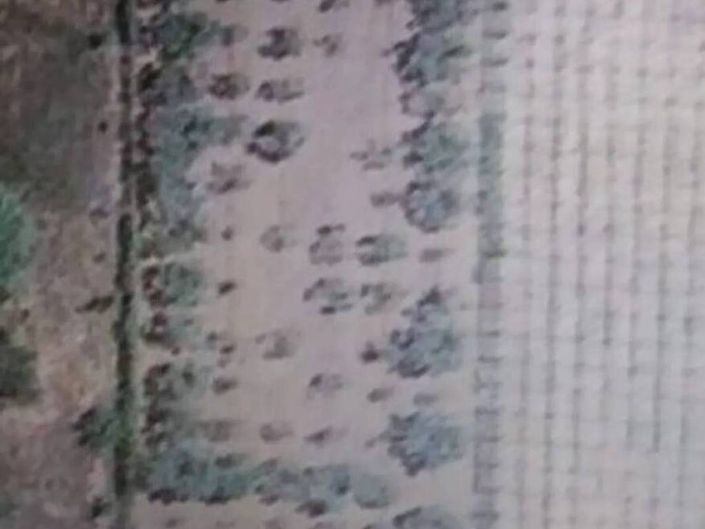 terreno agricolo in vendita a Nettuno