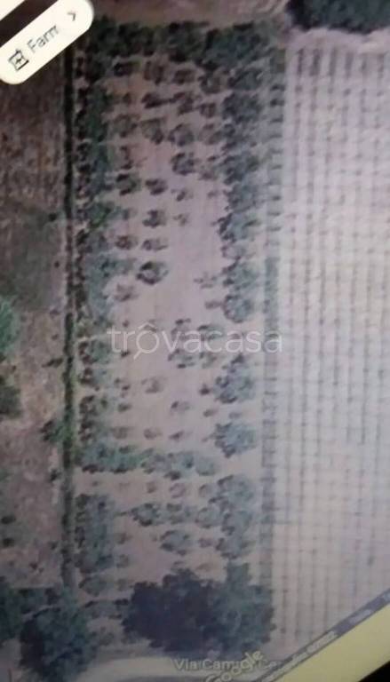 terreno agricolo in vendita a Nettuno