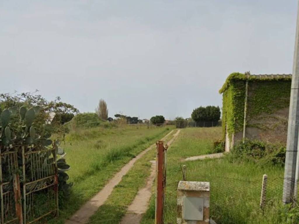 terreno agricolo in vendita a Nettuno