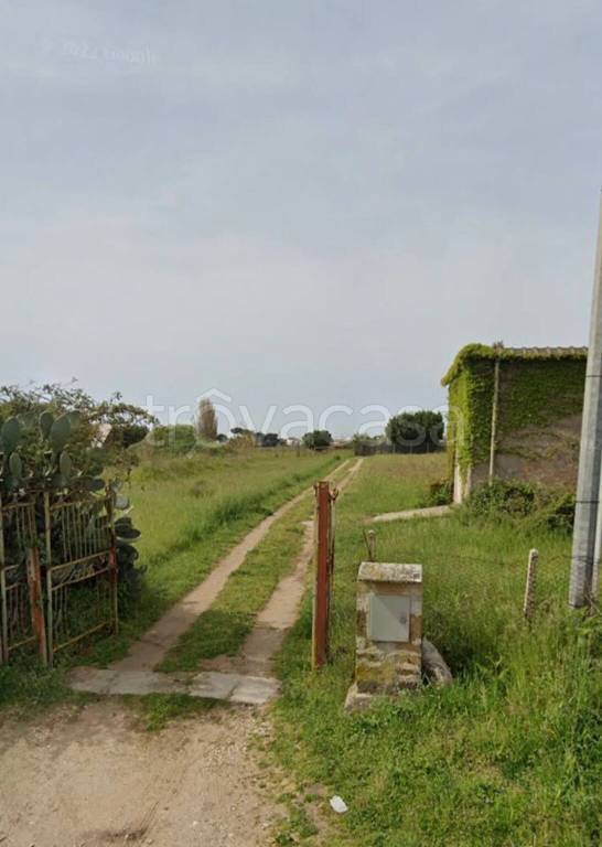 terreno agricolo in vendita a Nettuno