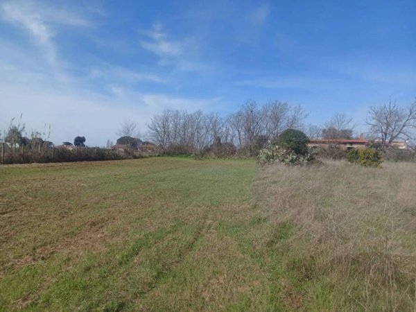 terreno agricolo in vendita a Nettuno