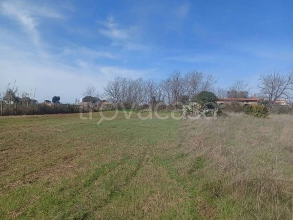 terreno agricolo in vendita a Nettuno