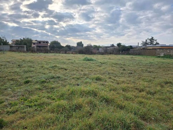 terreno agricolo in vendita a Nettuno