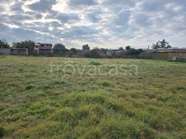 terreno agricolo in vendita a Nettuno