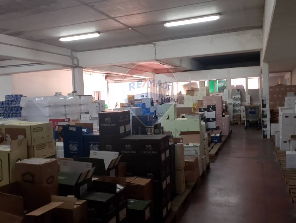 negozio in vendita a Nettuno