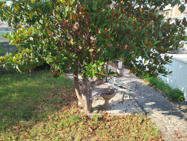 appartamento in vendita a Nettuno