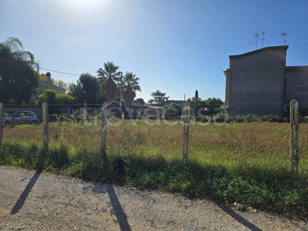 terreno agricolo in vendita a Nettuno