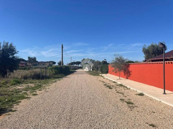 terreno agricolo in vendita a Nettuno