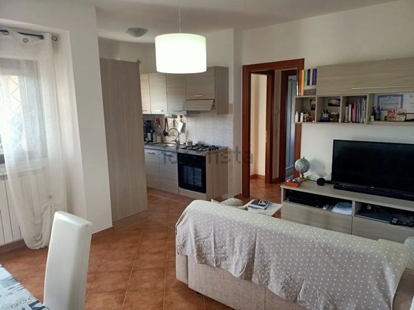 appartamento in vendita a Nettuno