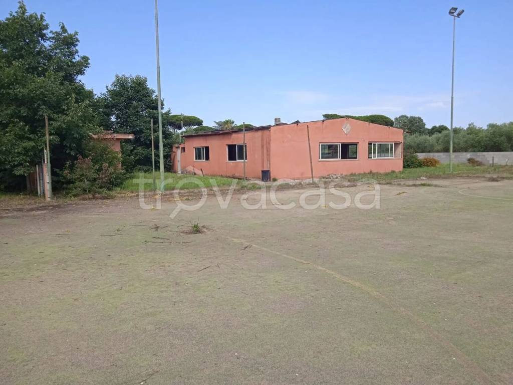 terreno agricolo in vendita a Nettuno