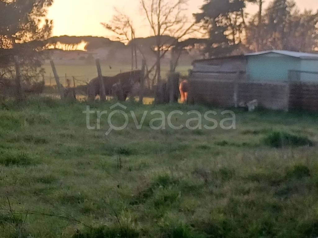 terreno agricolo in vendita a Nettuno