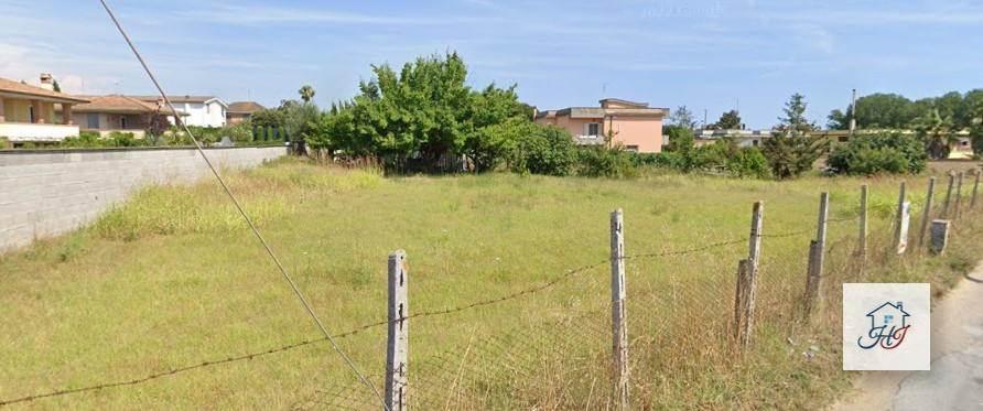 negozio in vendita a Nettuno