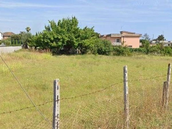 negozio in vendita a Nettuno