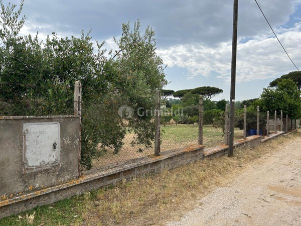 terreno edificabile in vendita a Nettuno
