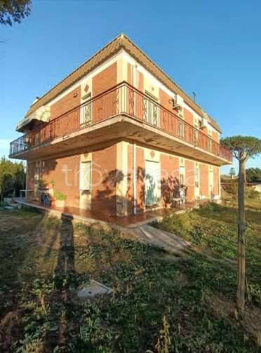 appartamento in vendita a Nettuno