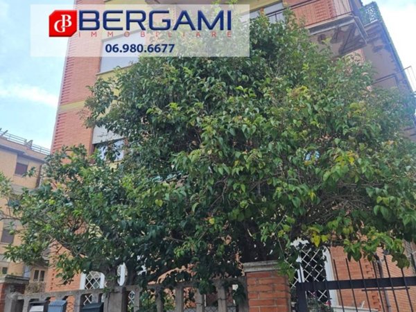 appartamento in vendita a Nettuno