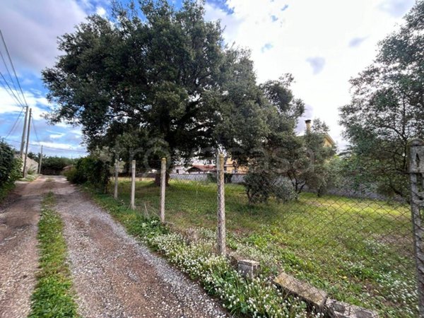 terreno agricolo in vendita a Nettuno