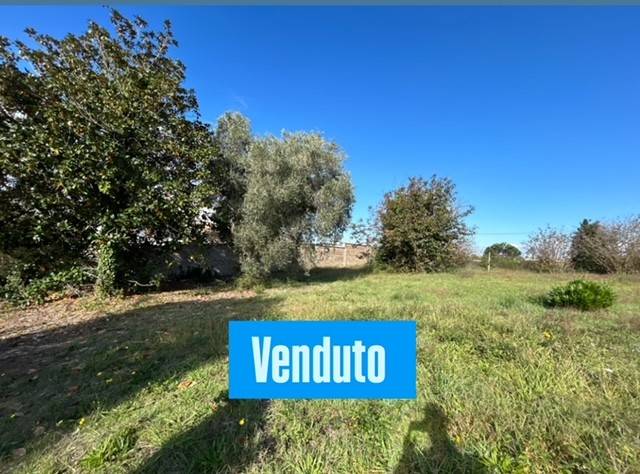 casa indipendente in vendita a Nettuno in zona Padiglione