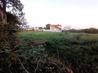 terreno edificabile in vendita a Nettuno