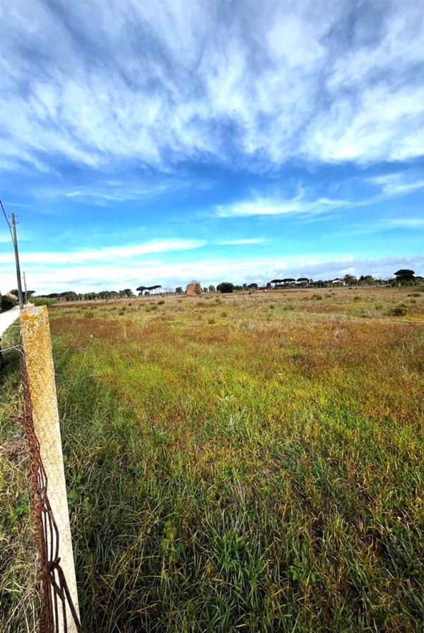 terreno agricolo in vendita a Nettuno