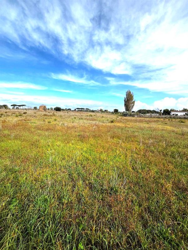 terreno agricolo in vendita a Nettuno
