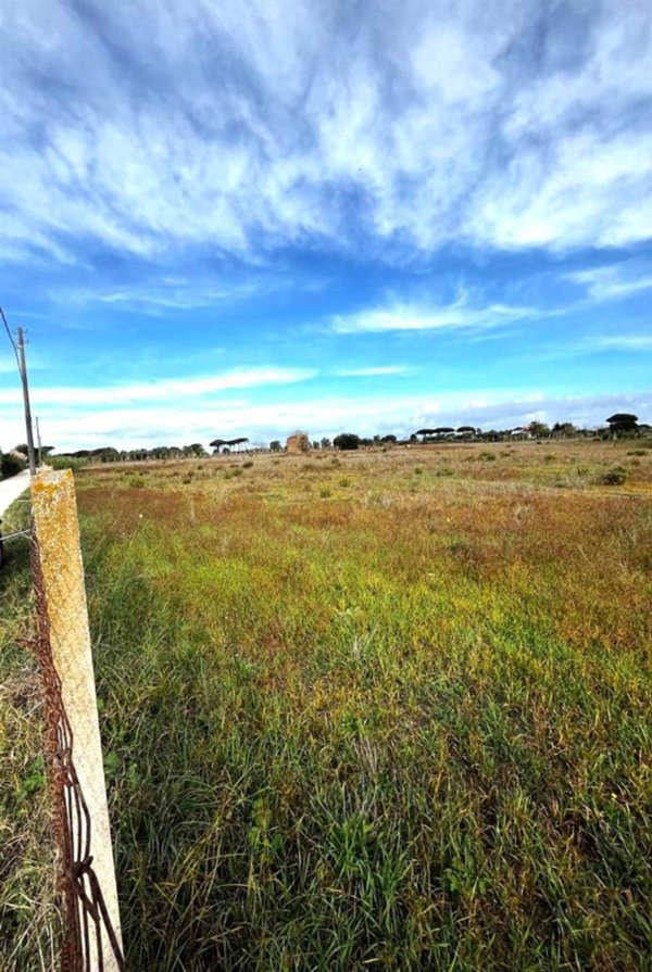 terreno agricolo in vendita a Nettuno