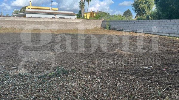 terreno agricolo in vendita a Nettuno