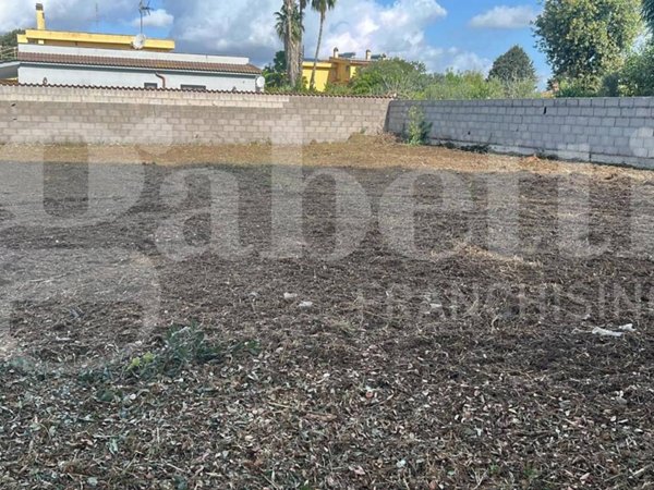 terreno agricolo in vendita a Nettuno