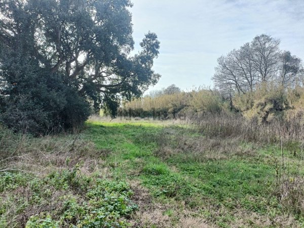 terreno agricolo in vendita a Nettuno