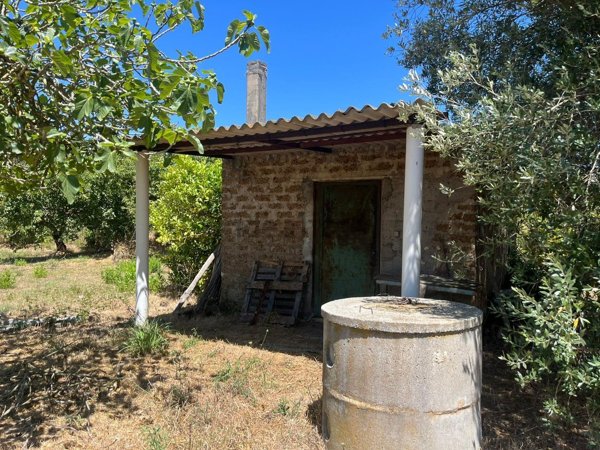 terreno agricolo in vendita a Nettuno