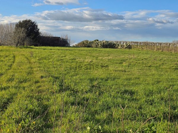 terreno agricolo in vendita a Nettuno