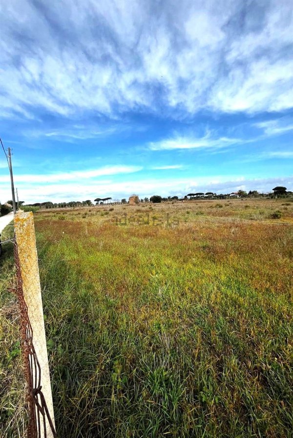 terreno agricolo in vendita a Nettuno