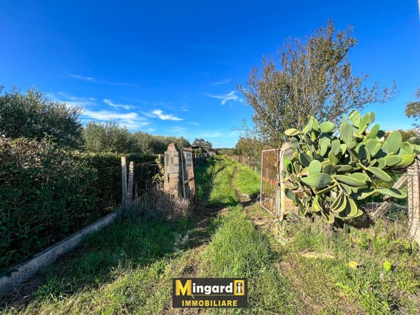 ufficio in vendita a Nettuno