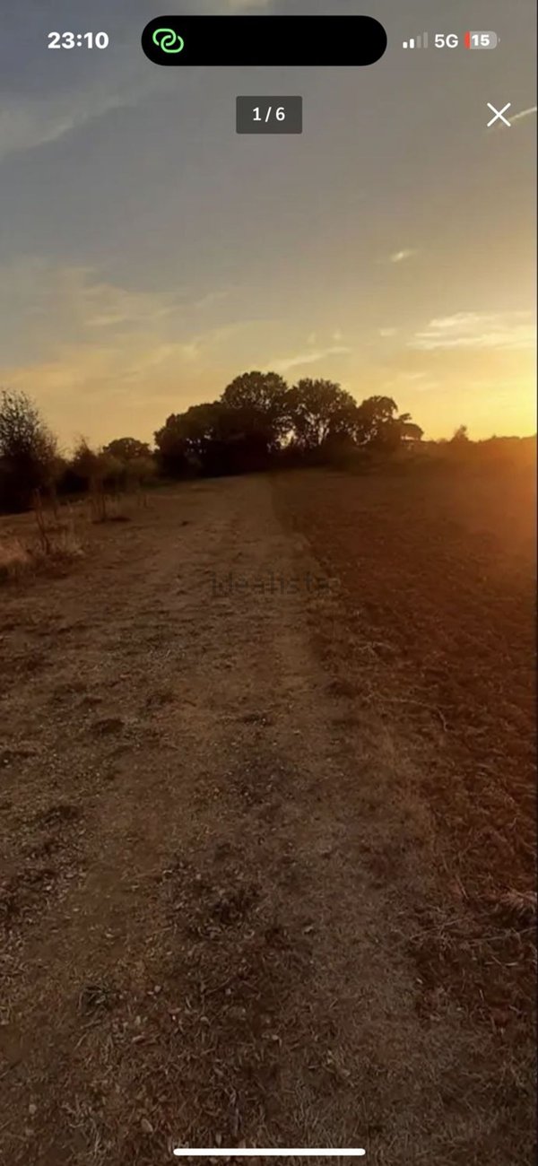 terreno agricolo in vendita a Nettuno