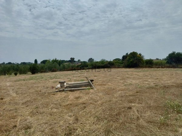 locale di sgombero in vendita a Nettuno