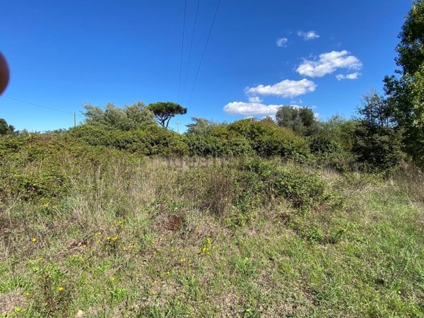 terreno edificabile in vendita a Nettuno