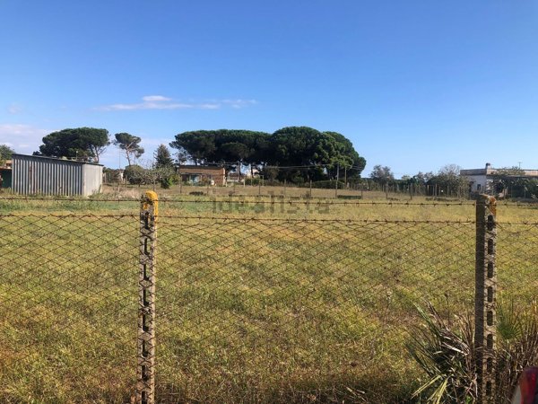 terreno edificabile in vendita a Nettuno