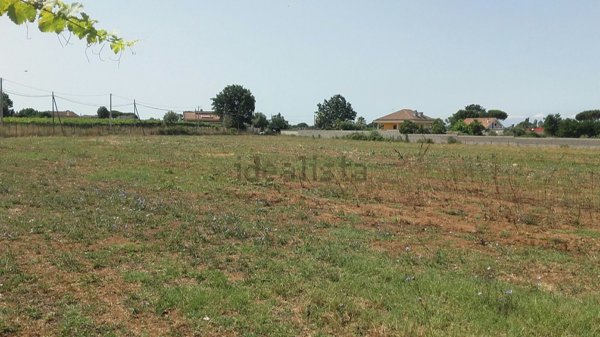 terreno agricolo in vendita a Nettuno
