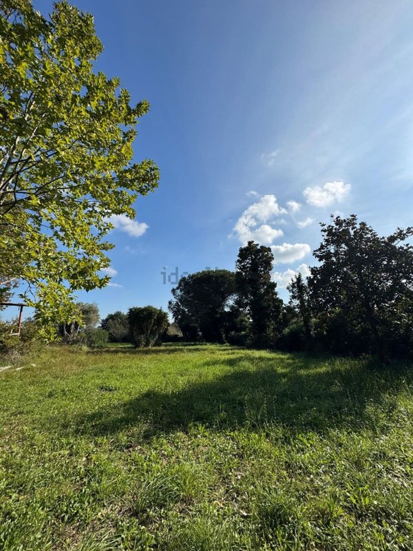 terreno edificabile in vendita a Nettuno