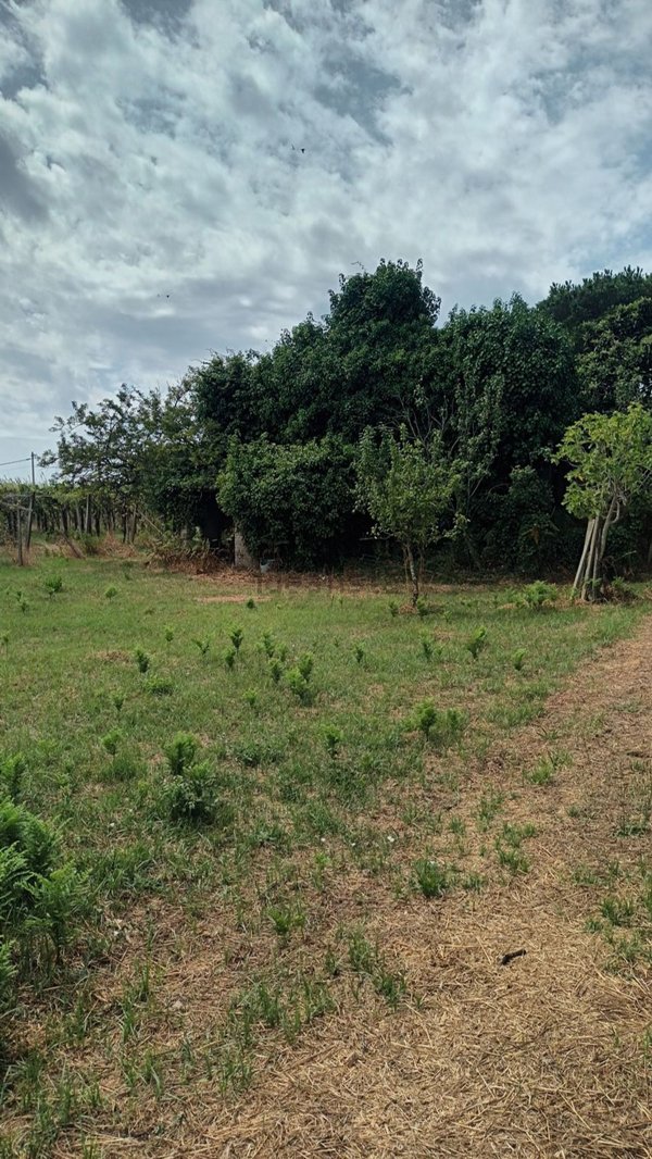 appartamento in vendita a Nettuno