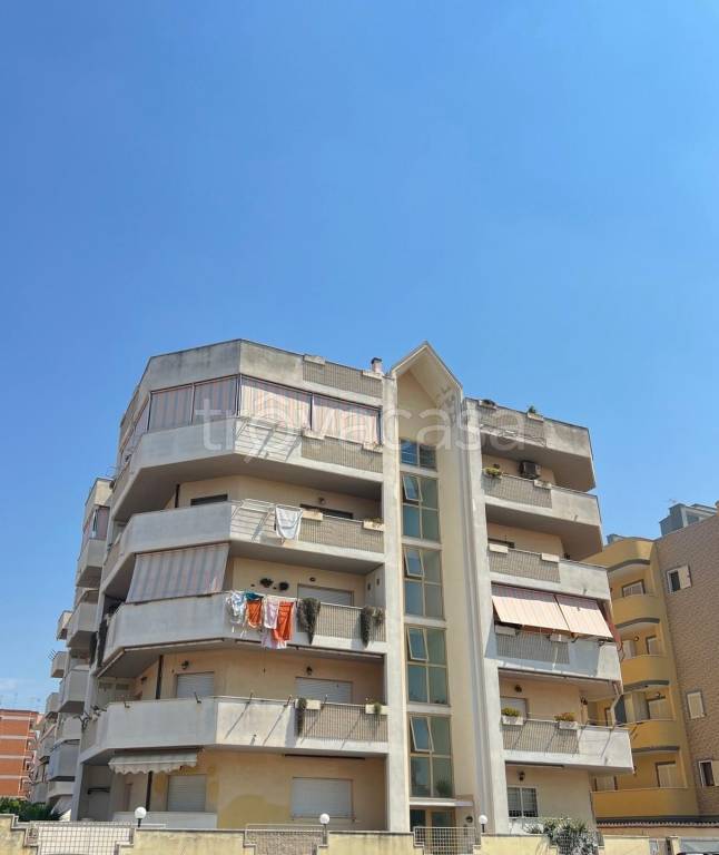 appartamento in vendita a Nettuno