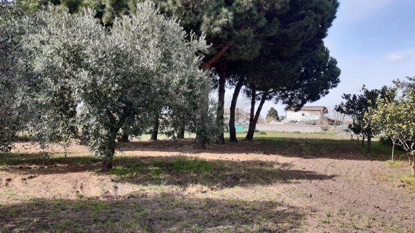 negozio in vendita a Nettuno in zona Padiglione