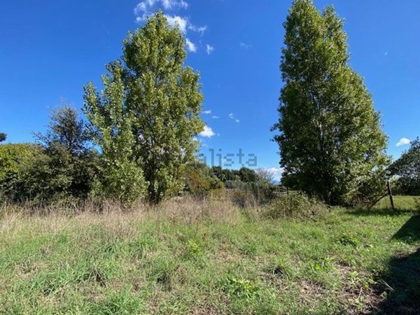 casa indipendente in vendita a Nettuno