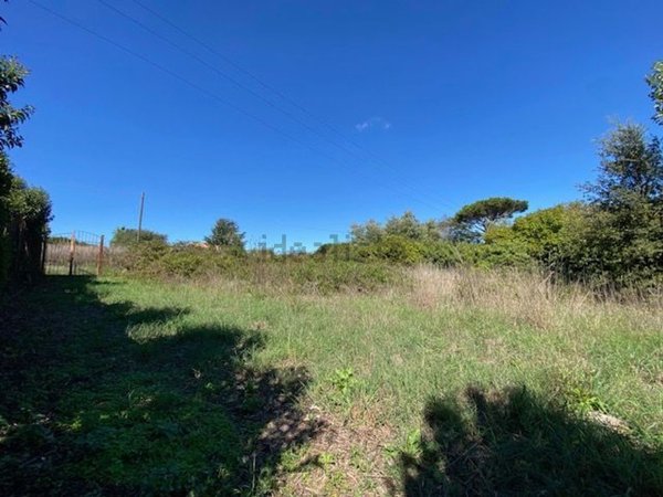 casa indipendente in vendita a Nettuno