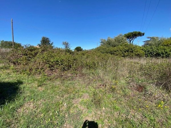 casa indipendente in vendita a Nettuno