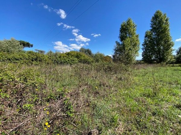 casa indipendente in vendita a Nettuno