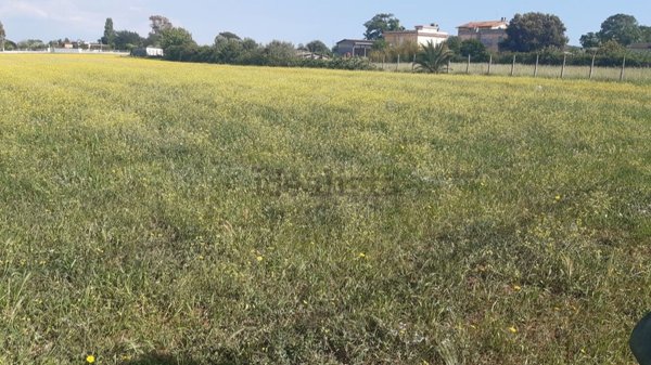 terreno agricolo in vendita a Nettuno