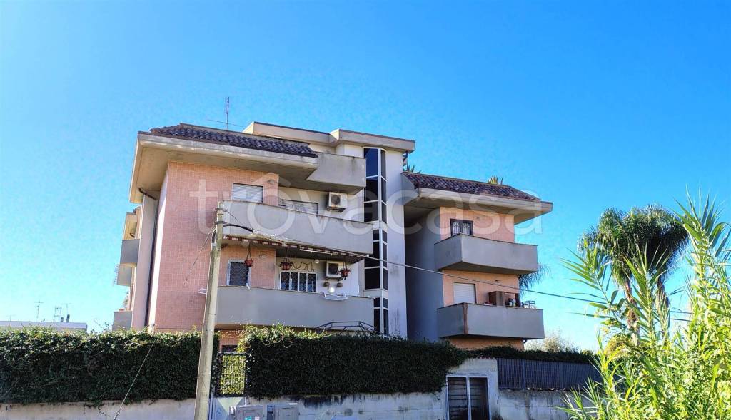 appartamento in vendita a Nettuno