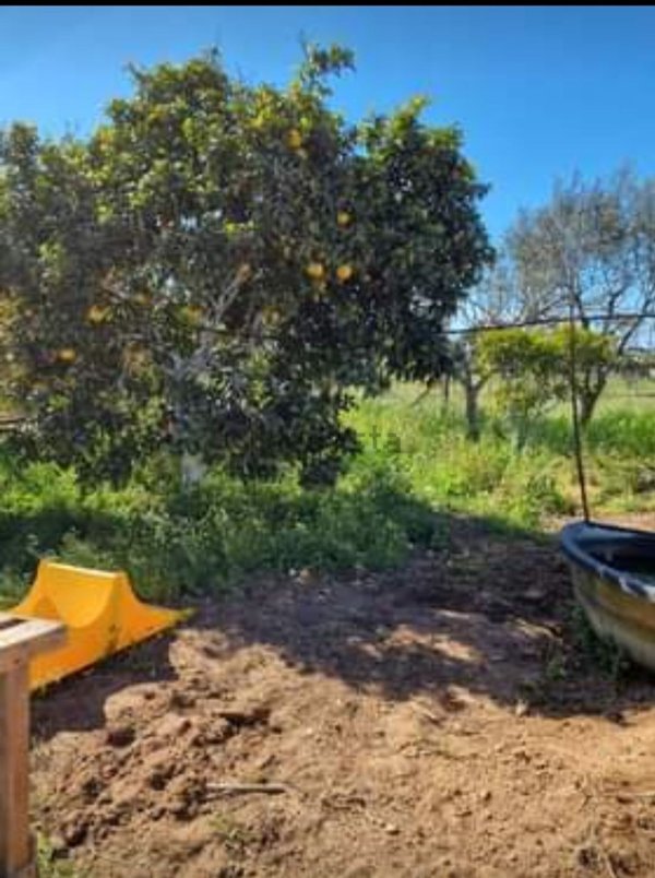 terreno edificabile in vendita a Nettuno